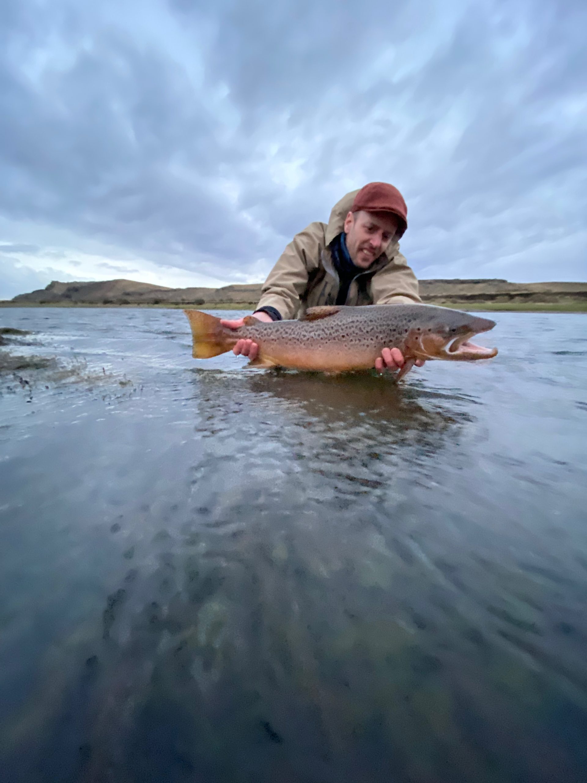 Slightly colored male searun brown trout which took a Sunray shadow