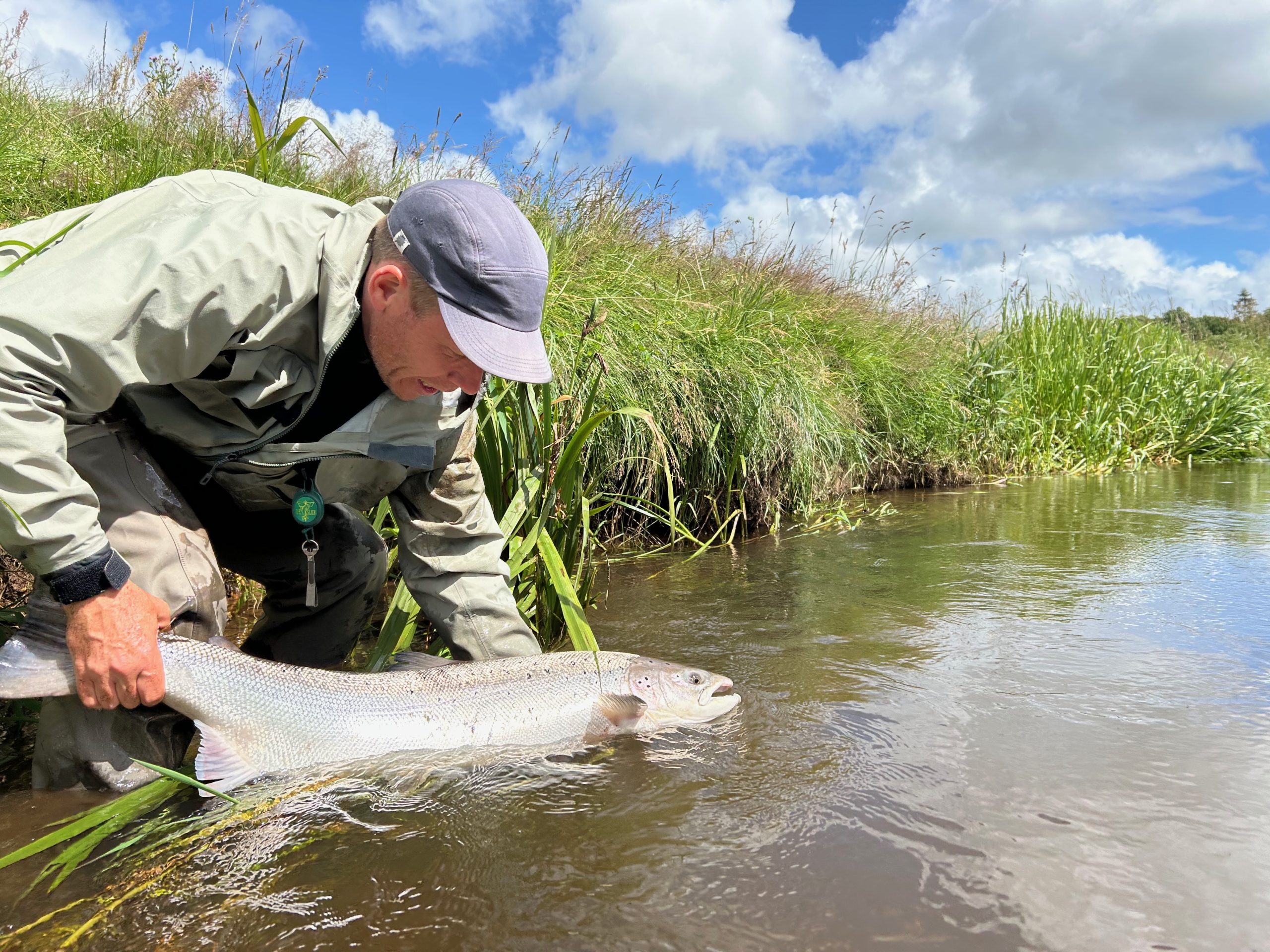 The river limit of 200 fish already attained for the season, the fish had to be released, in order to ensure further generations